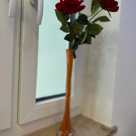 Modern Neuburg P - - 2 Zimmer, Komfort, Balkon, Wi-fi, Smart Tv, Grosse Dusche, Kueche